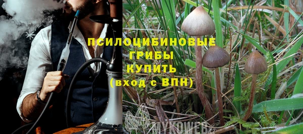 прущий лед Алексеевка