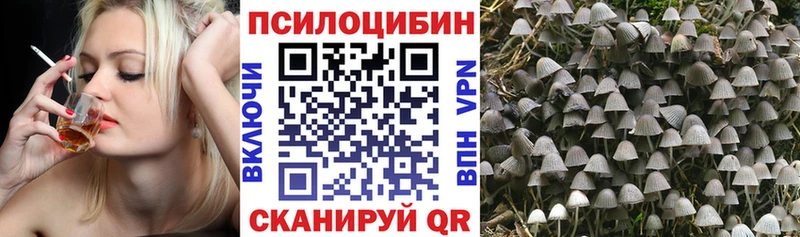 где найти наркотики Льгов Галлюциногенные грибы Magic Shrooms